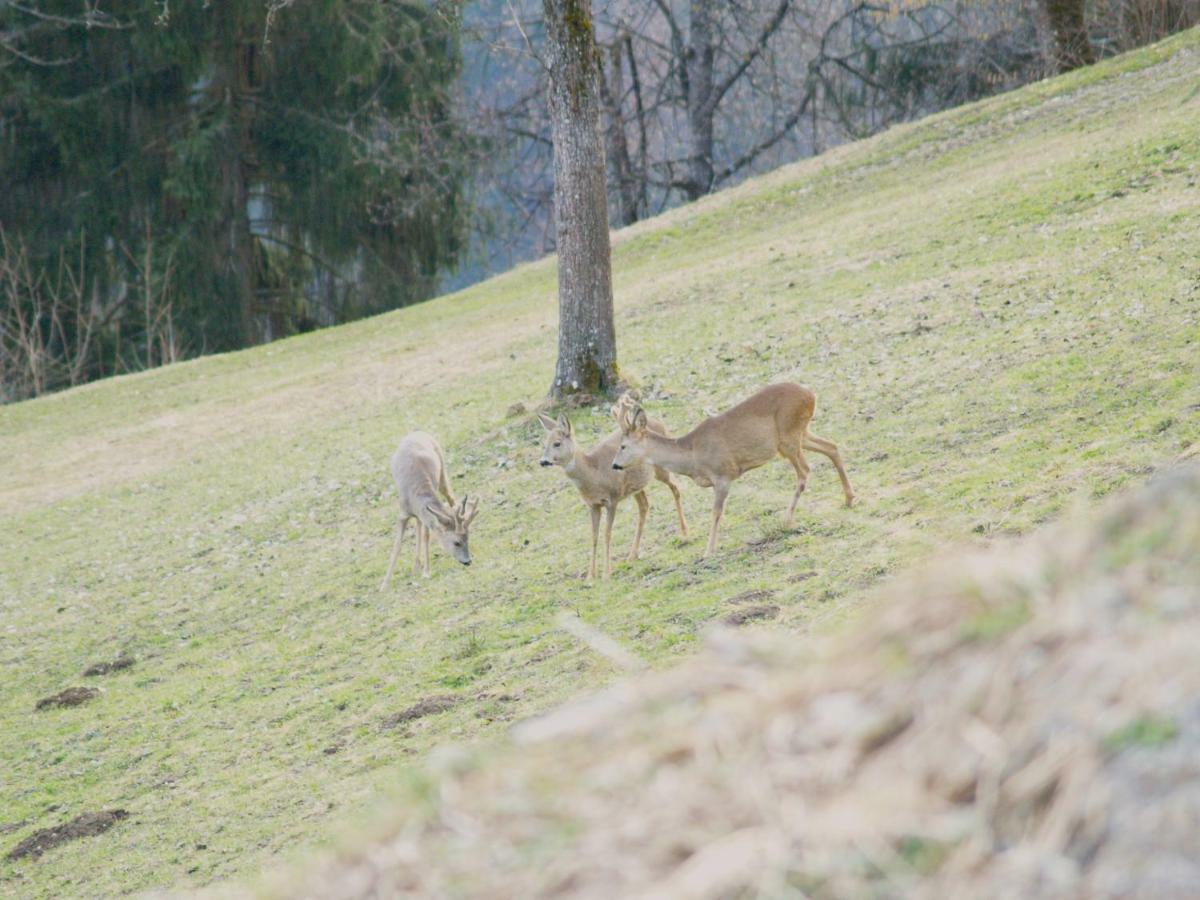 Haus Gruener Wald Lägenhet Bartholomäberg Exteriör bild